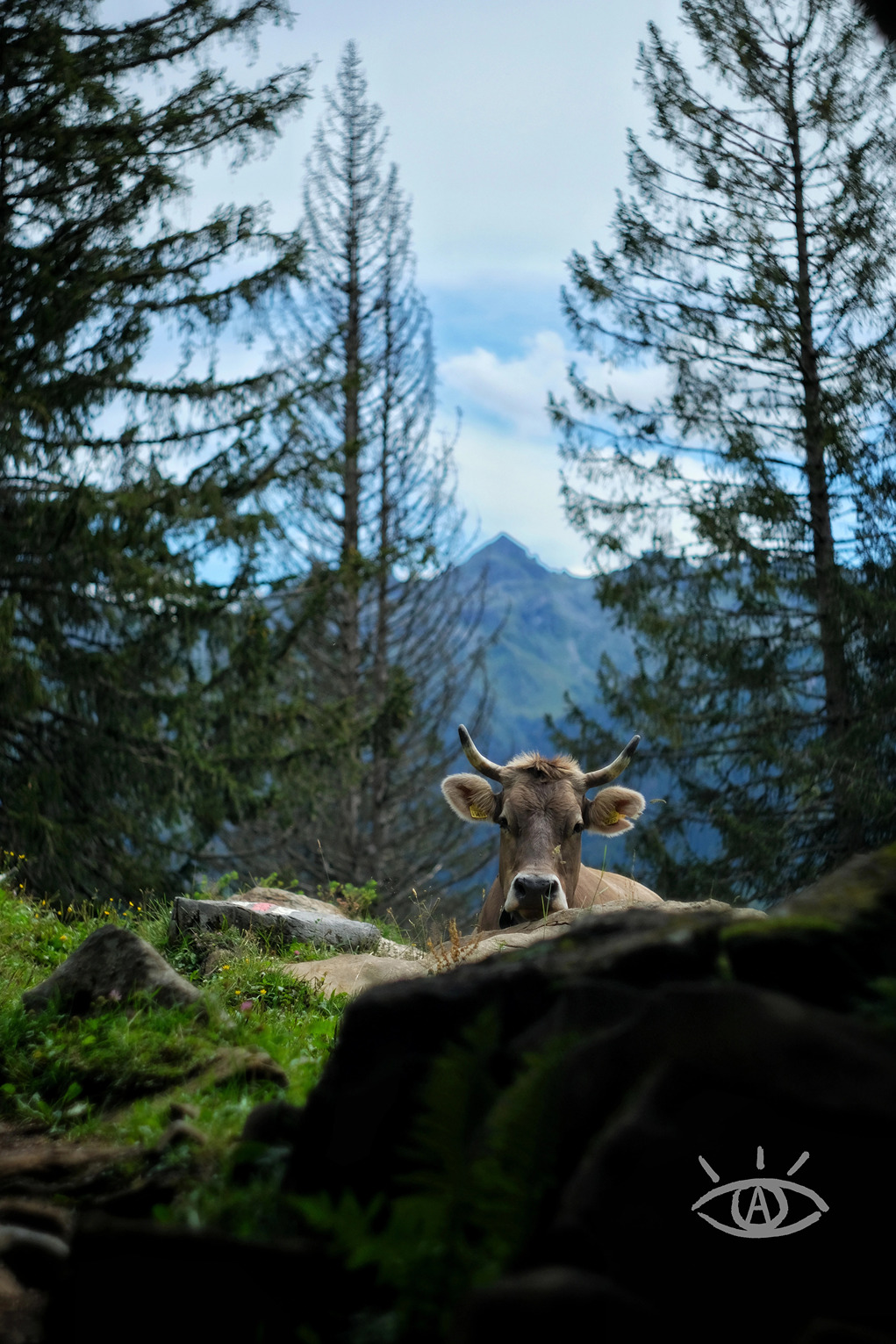 Switzerland in Summer